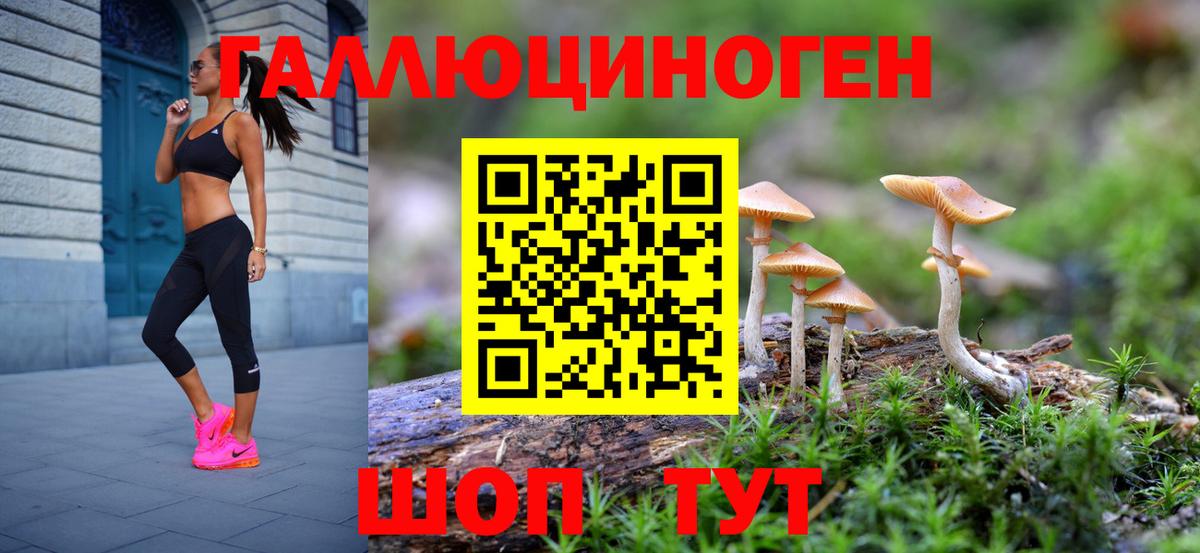 Северобайкальск  Псилоцибиновые грибы ЛСД  Вход с VPN 